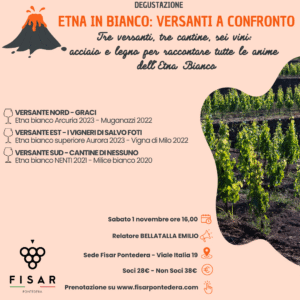 ETNA IN BIANCO: Versanti a Confronto
