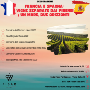 FRANCIA E SPAGNA:  Vigne Separate dai Pirenei un mare, due orizzonti...